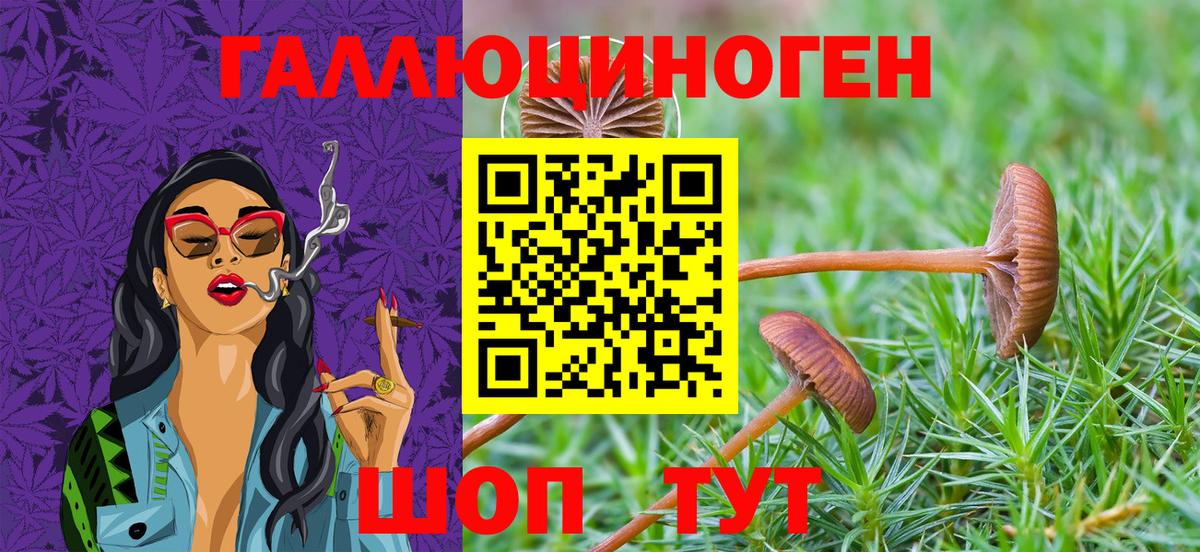 Галлюциногенные грибы мухоморы  хочу   Набережные Челны  Вход с VPN 